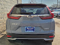 2021 Honda CR-V Special Edition