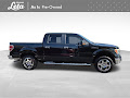 2010 Ford F-150 XLT