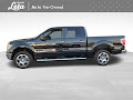 2010 Ford F-150 XLT